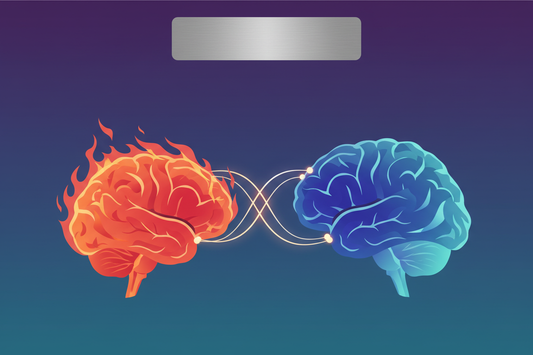 The Science of Emotional Control: How Managing Anger Rewires Your Brain