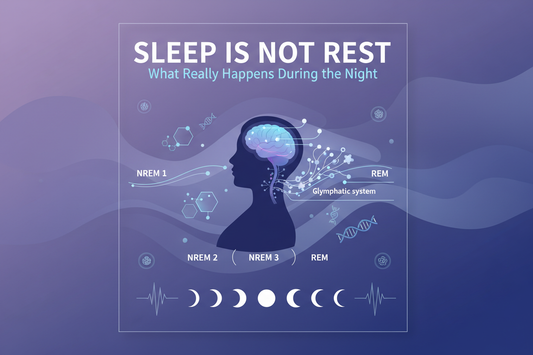 Sleep Is Not Rest: What Really Happens During the Night