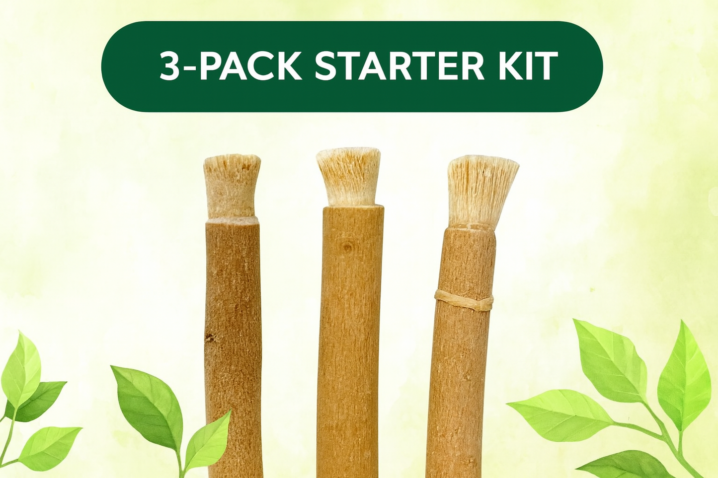 Natural Ancestral Toothbrush - Eco Miswak