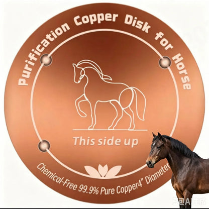 AquaPaw™ — Copper Pet Water Disc