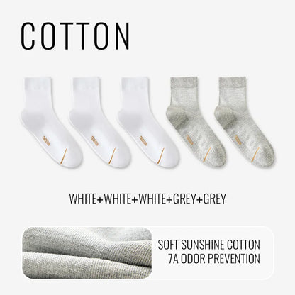 Natural Mugwort Essential Oil Sock Anti Odor Skincare Breathable Mesh Thin Long Sock Cotton Summer Deodorant Business Sock