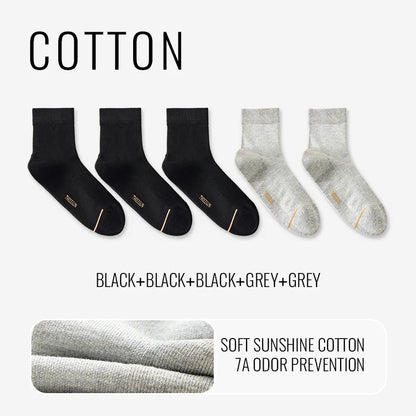 Natural Mugwort Essential Oil Sock Anti Odor Skincare Breathable Mesh Thin Long Sock Cotton Summer Deodorant Business Sock