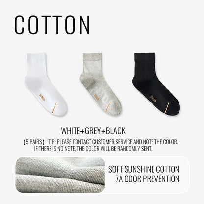Natural Mugwort Essential Oil Sock Anti Odor Skincare Breathable Mesh Thin Long Sock Cotton Summer Deodorant Business Sock