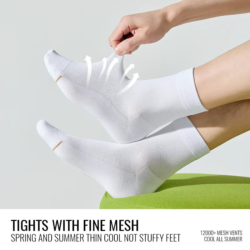 Natural Mugwort Essential Oil Sock Anti Odor Skincare Breathable Mesh Thin Long Sock Cotton Summer Deodorant Business Sock