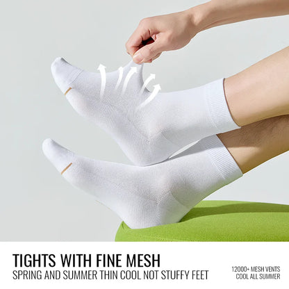 Natural Mugwort Essential Oil Sock Anti Odor Skincare Breathable Mesh Thin Long Sock Cotton Summer Deodorant Business Sock