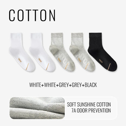 Natural Mugwort Essential Oil Sock Anti Odor Skincare Breathable Mesh Thin Long Sock Cotton Summer Deodorant Business Sock