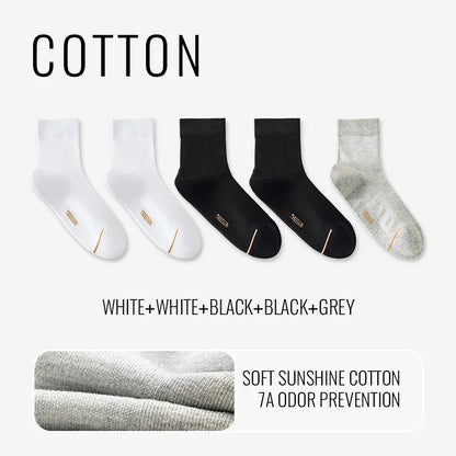 Natural Mugwort Essential Oil Sock Anti Odor Skincare Breathable Mesh Thin Long Sock Cotton Summer Deodorant Business Sock