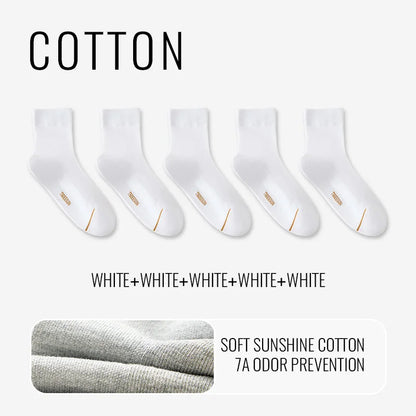 Natural Mugwort Essential Oil Sock Anti Odor Skincare Breathable Mesh Thin Long Sock Cotton Summer Deodorant Business Sock
