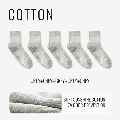 Natural Mugwort Essential Oil Sock Anti Odor Skincare Breathable Mesh Thin Long Sock Cotton Summer Deodorant Business Sock